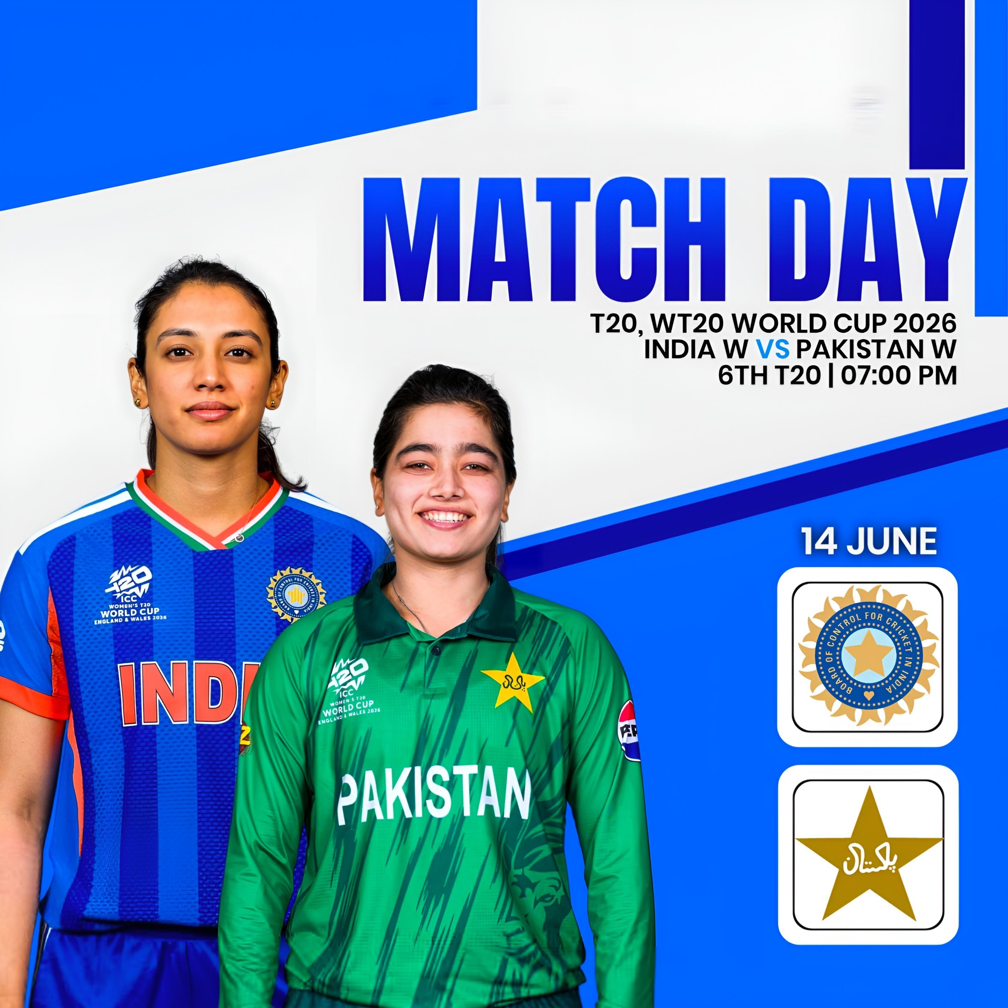 Cricket Poster